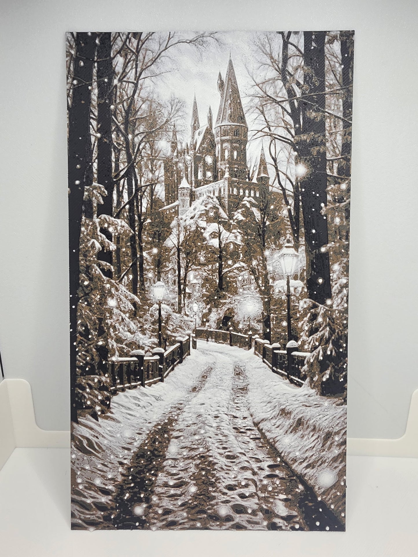 Snowy Castle