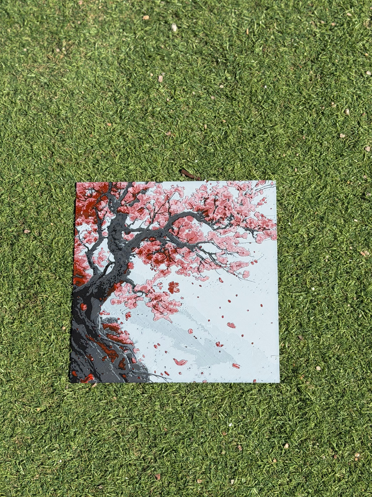 Cherry Blossom Serenity