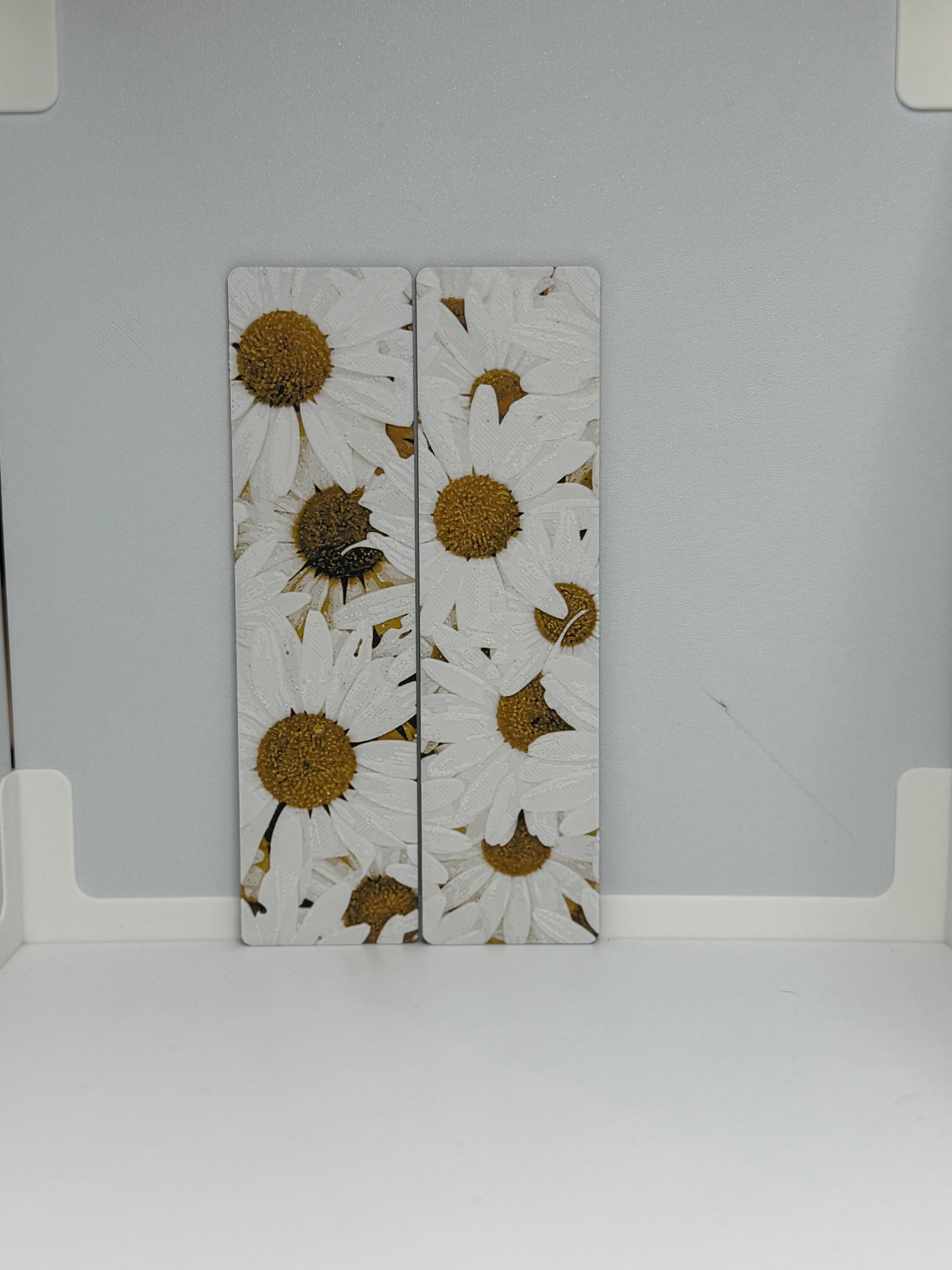 Daisy (2pack)