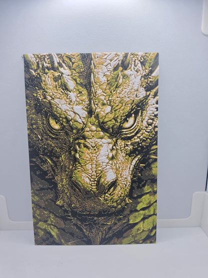Bronze dragon