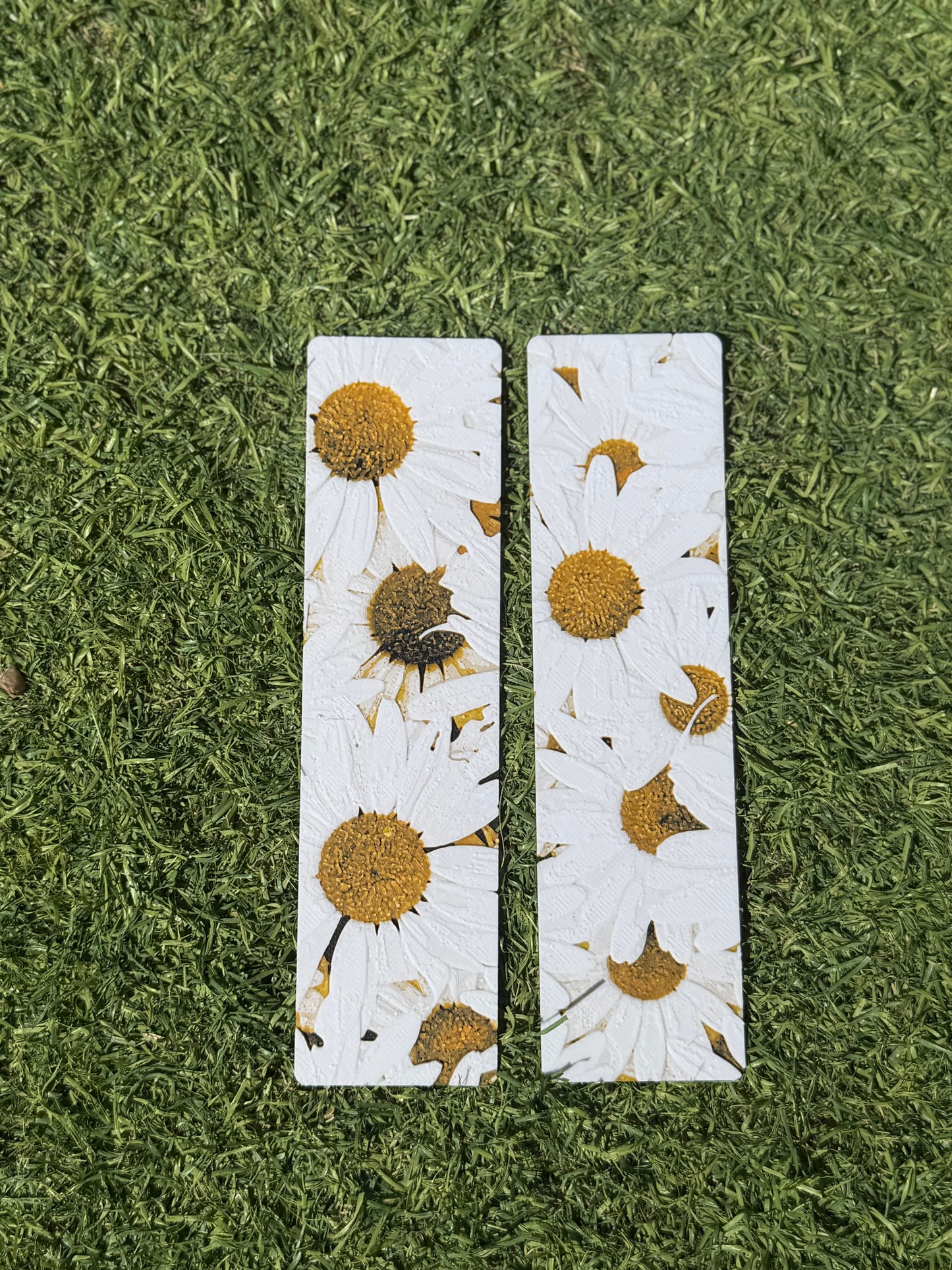 Daisy (2pack)
