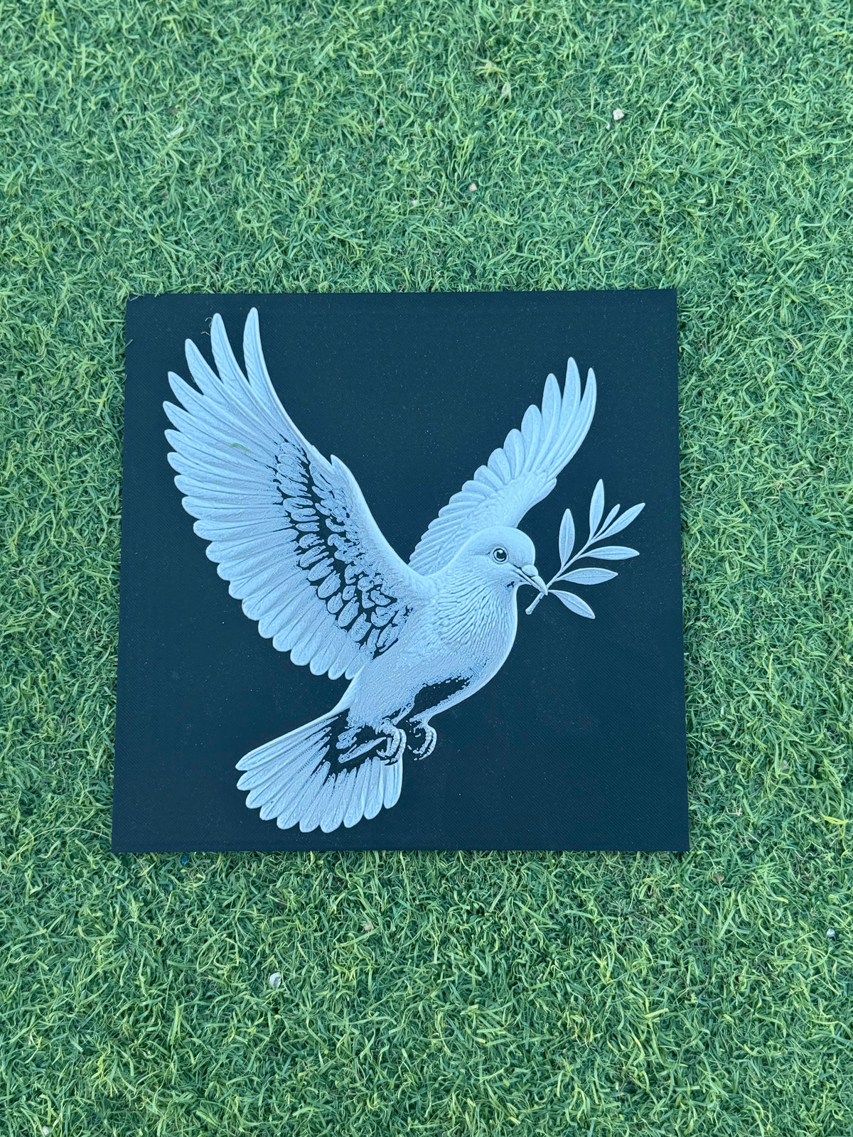 Peaceful Dove