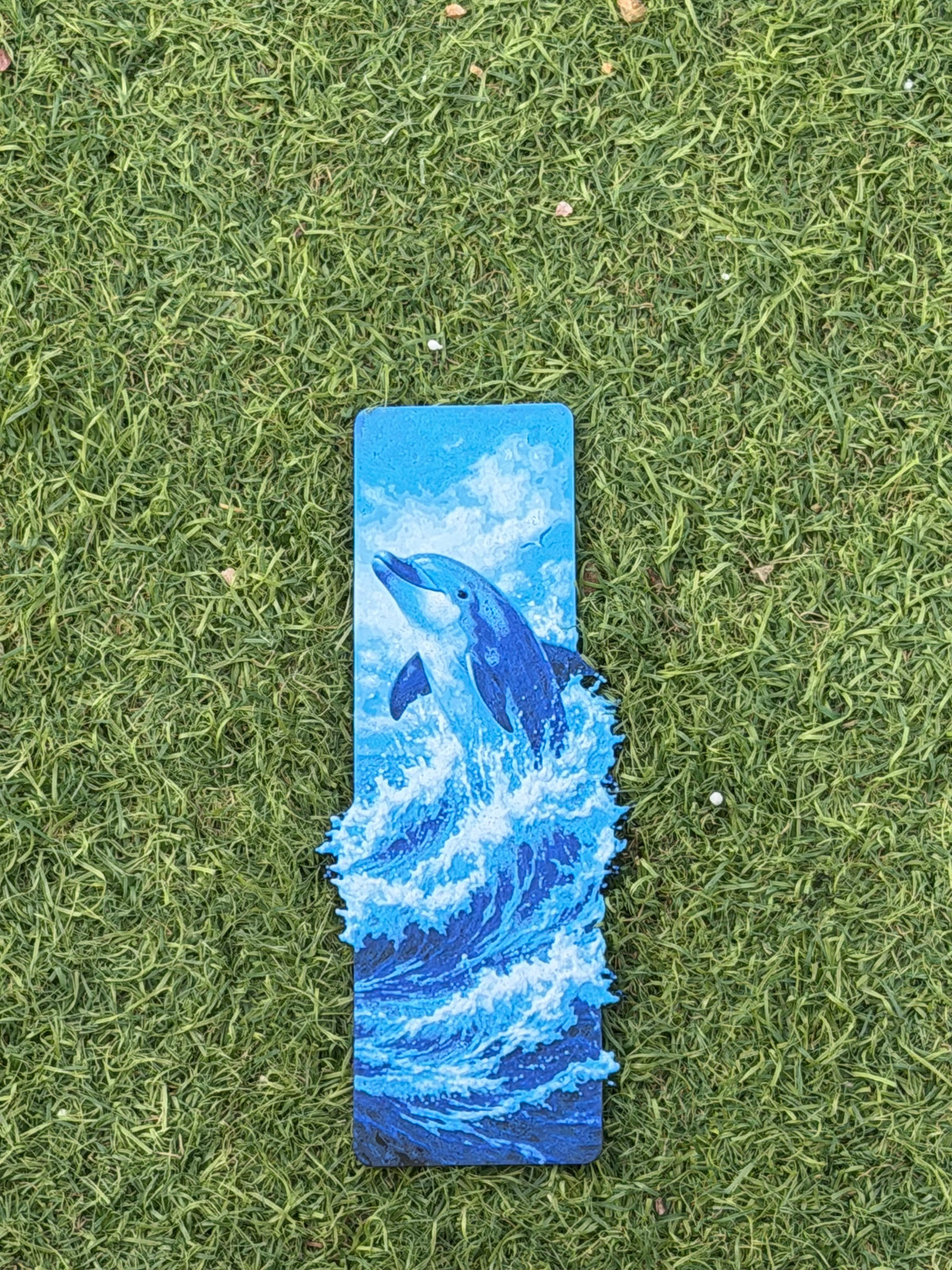 Ocean Leap